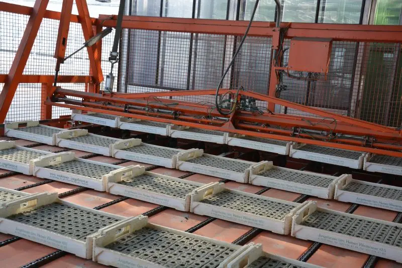 Impressionen von Weidenauer Jungpflanzen GmbH in Wien