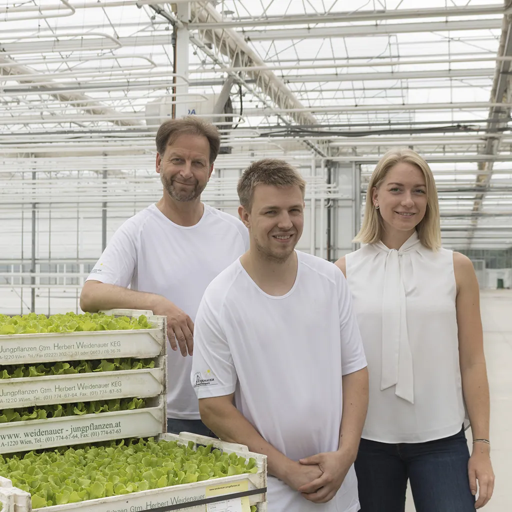 Weidenauer Jungpflanzen GmbH in Wien